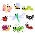 Cute insects cartoon. Butterfly, ant, ladybug, bee, spider, snail, caterpillar, dragonfly, grasshopper Royalty Free Stock Photo